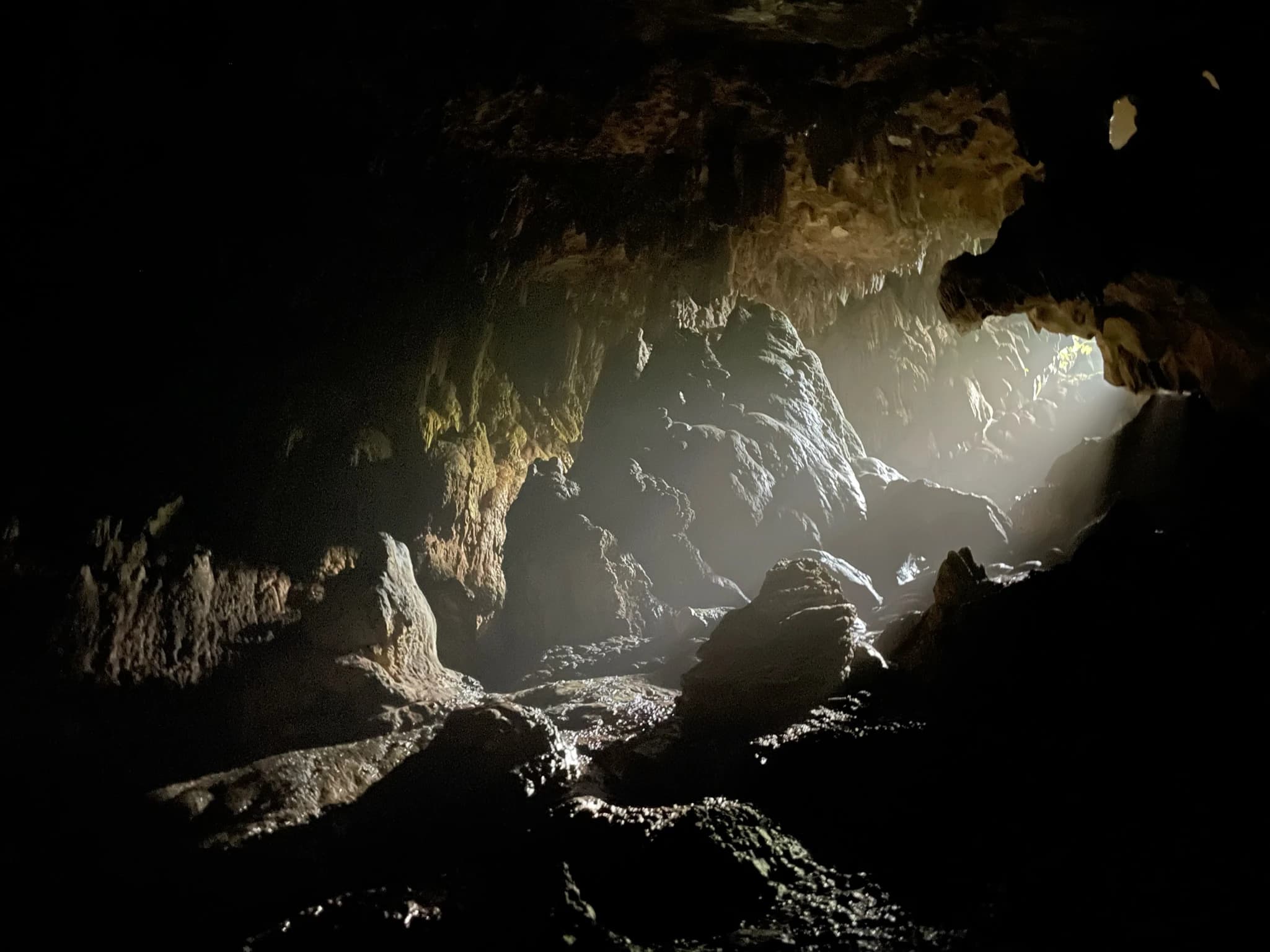 Image 10