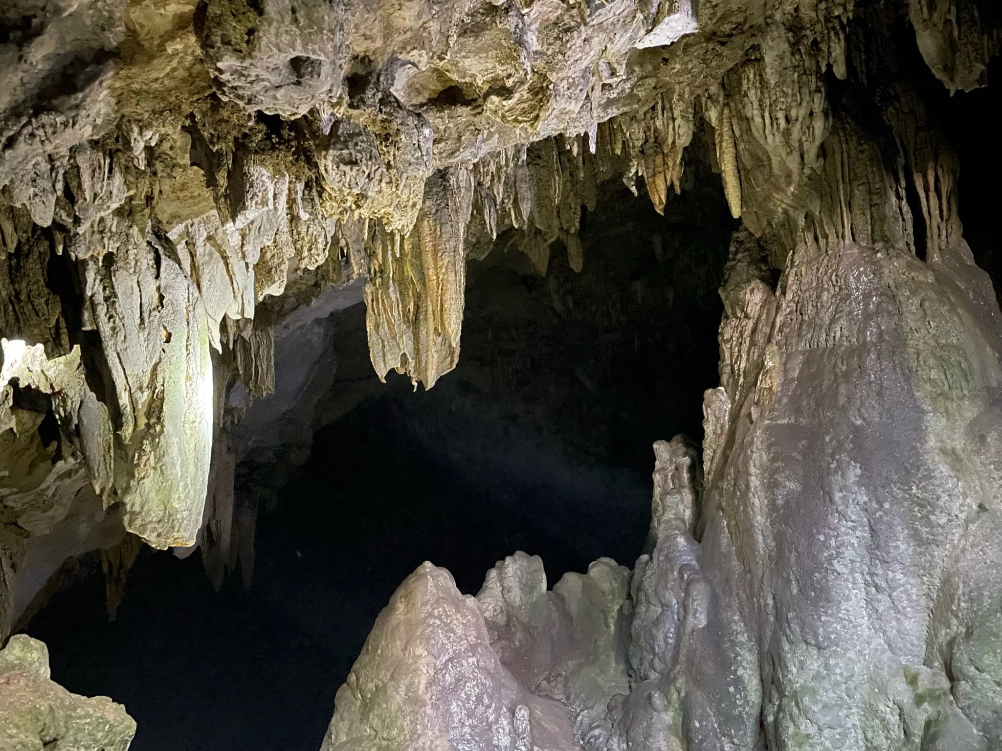 Image 8